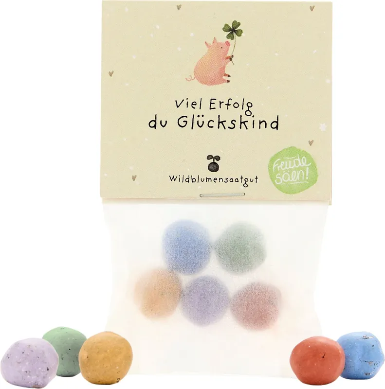 Veilige betaling | Die Stadtgärtner Bloemenknikkers "Viel Erfolg, du Glückskind", 5 stuks