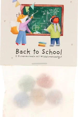 Nu beschikbaar | Die Stadtgärtner Bloemenknikkers "Back to School - Schoolbord", 5 stuks