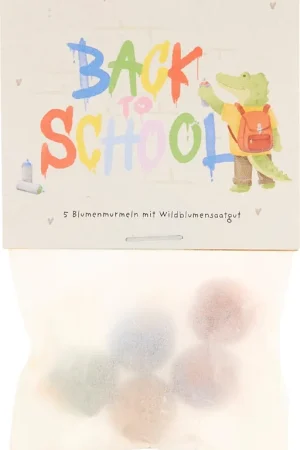 Pak je kans - Die Stadtgärtner Bloemenknikkers "Back to School - Krokodil", 5 stuks