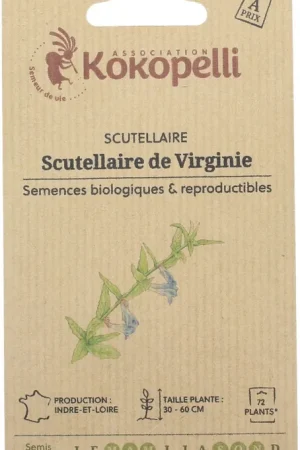 Kokopelli Biologische Virginische Helmkruid (Scutellaria), 100 Korrels | Alleen deze week