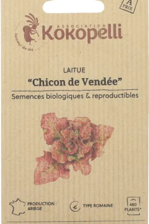 Premiumkwaliteit | Kokopelli Biologischelogische Romeinse Sla ‘Chicon de Vendée‘, 1 g