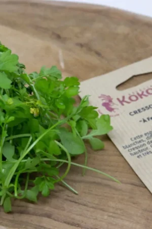 Kokopelli Biologische Tuinkers, 2 g - Voeg toe aan winkelwagen