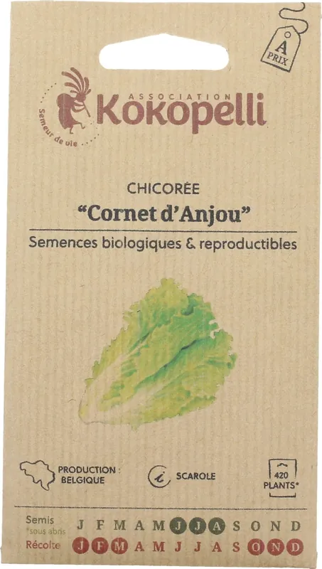 Kokopelli Biologischelogische Witloof ‘Cornet d‘Anjou‘, 1 g | Hoog gewaardeerd