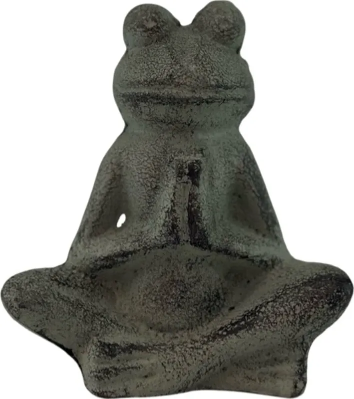 Voordeelprijs - Miljögården Decoratieve Kikker van Gietijzer