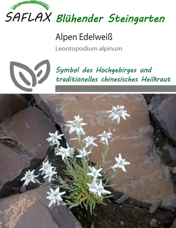 Tijdelijke actie | Saflax Alpen Edelweiss, 500 Korrels