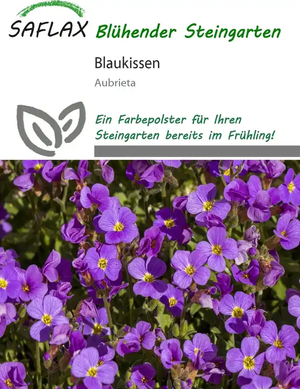 Saflax Blauwkussen, 250 Korrels | Nieuw binnengekomen
