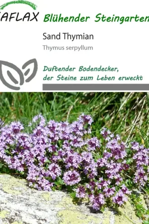 Nieuw in de shop - Saflax Kleine Tijm, 550 Korrels