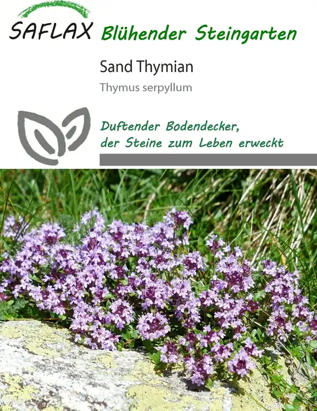 Nieuw in de shop - Saflax Kleine Tijm, 550 Korrels