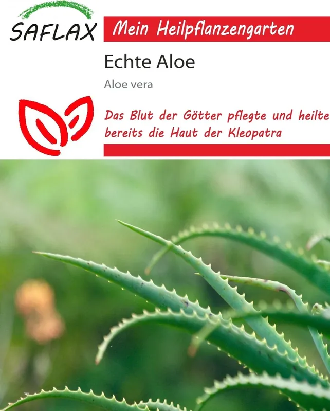 Saflax Aloë Vera, 10 Korrels - Nieuw binnengekomen