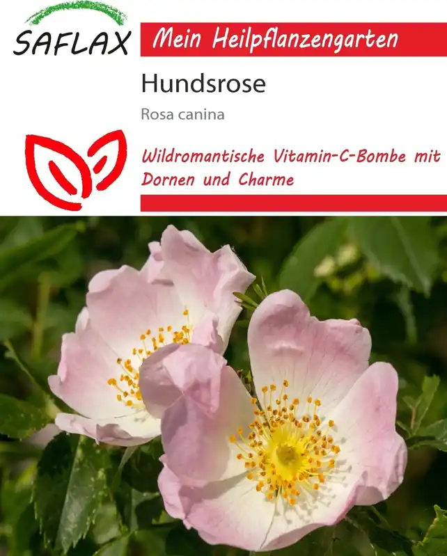 Saflax Hondsroos, 50 Korrels - Meest verkocht