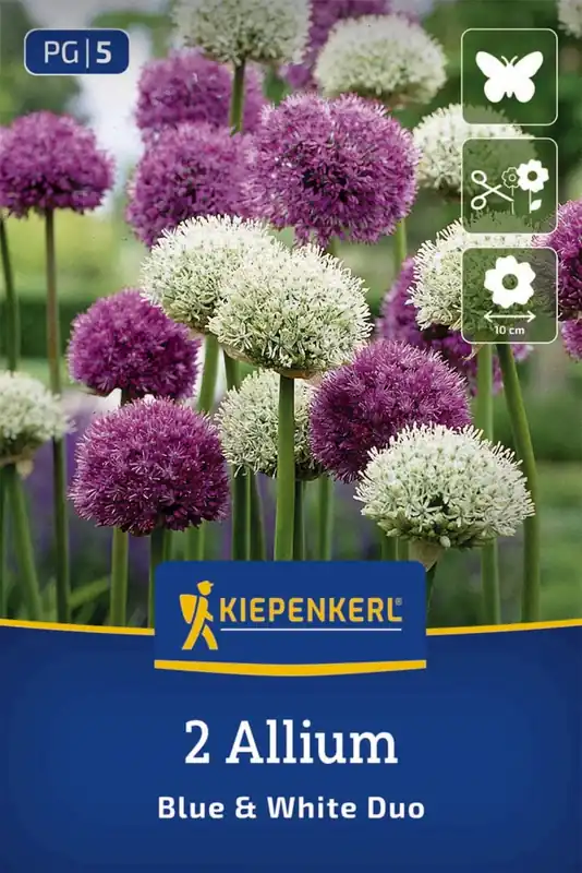 Kiepenkerl Sierui Mix Blue & White, 2 stuks - Nieuwe release
