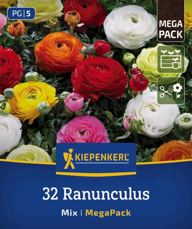 Goed beoordeeld - Kiepenkerl Mega-Pack Ranonkelmix, 32 stuks