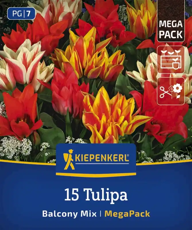 Nu kopen | Kiepenkerl Mega-Pack Botanische Tulpen Balkonzauber Mix, 15 stuks