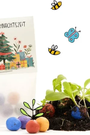 Die Stadtgärtner Bloemenknikkers "Fijne Kerstdagen", 5 stuks | Direct leverbaar