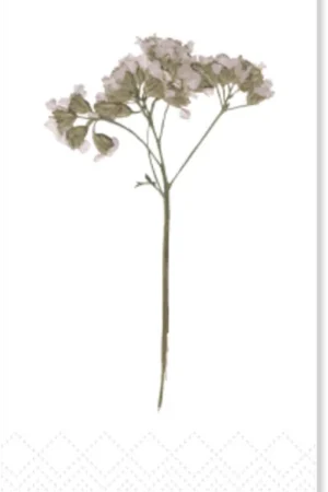 Voordeelprijs | Chic Antique Servetten "Bloemensteel", 16 stuks