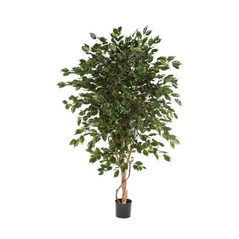 Premiumkwaliteit | Kunstplant Ficus Exotica - 180 cm