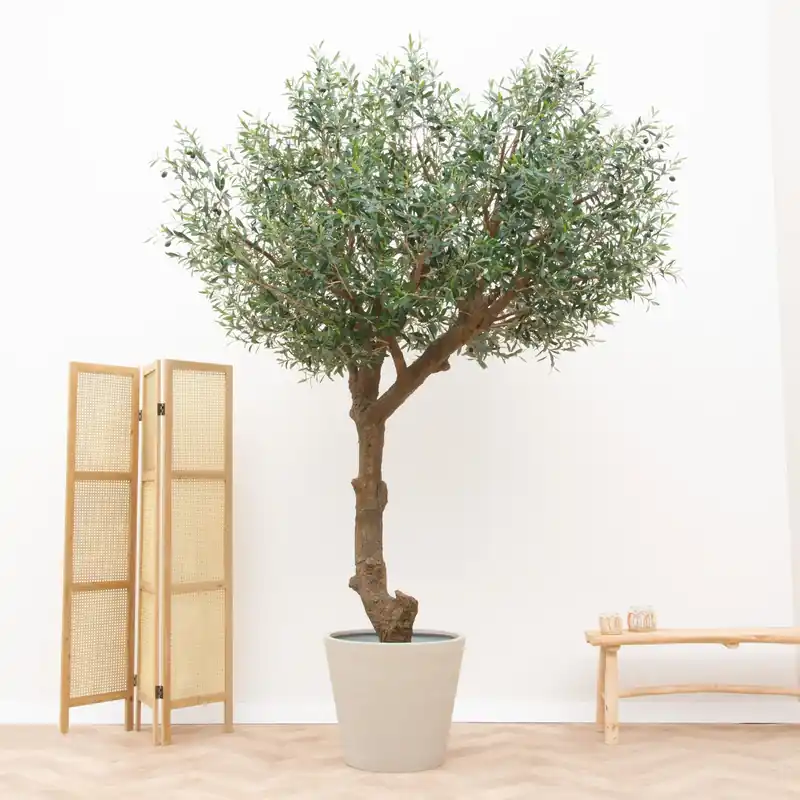 Veel gekozen | Kunstplant Olijfboom - 270cm