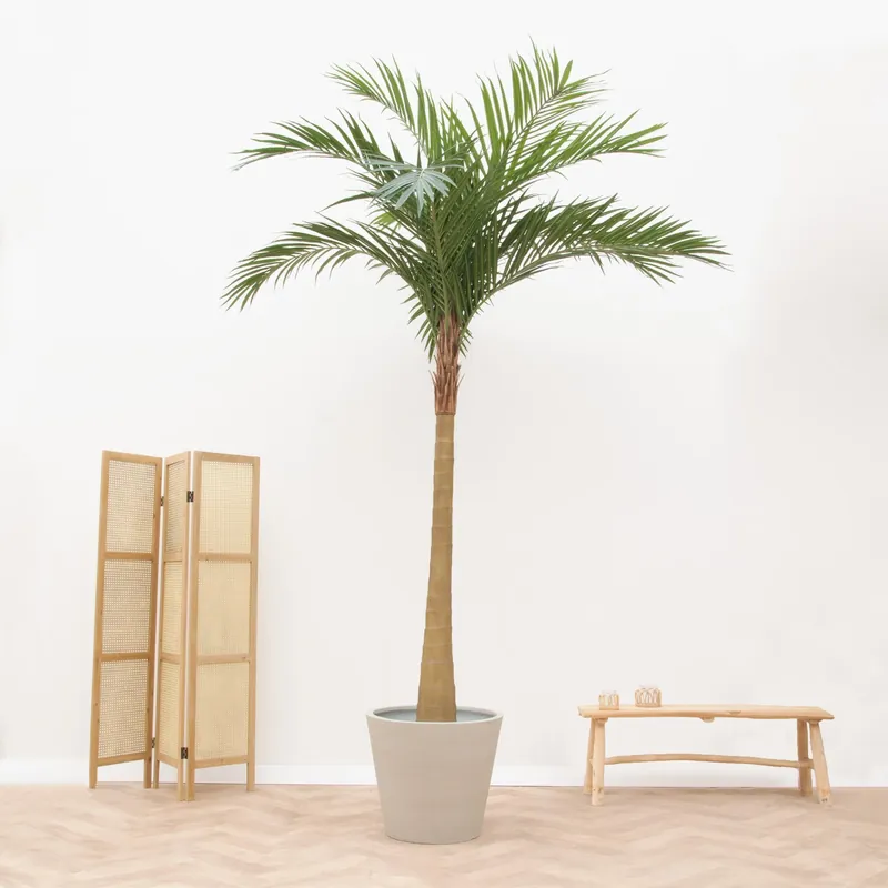 Kunstplant Phoenix Roebelenii - 300cm - Topdeal