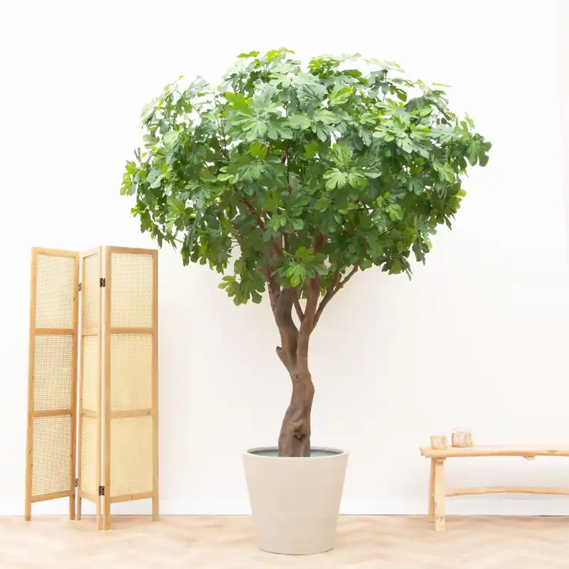 Kunstplant Vijgenboom - 250cm - Trending