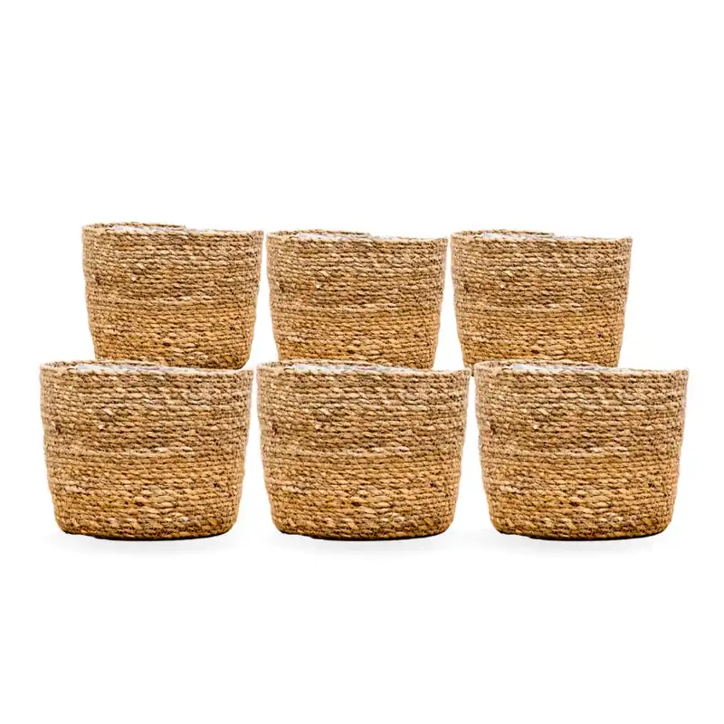 Outlet - 6x Mand Scott
