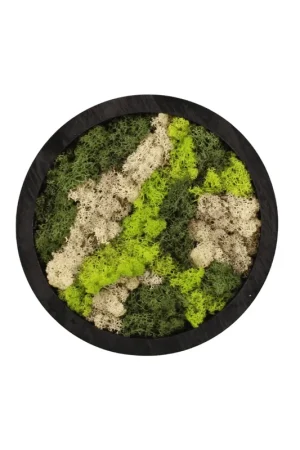 Actie loopt bijna af - Moss Art rond