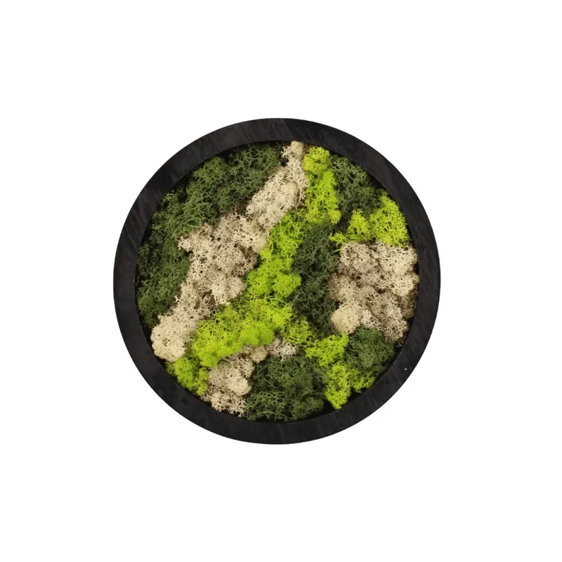 Actie loopt bijna af - Moss Art rond