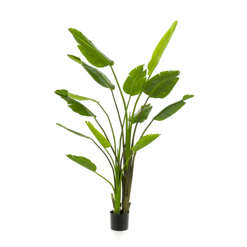 Klaar voor verzending - Kunstplant Strelitzia Nicolai - 180 cm