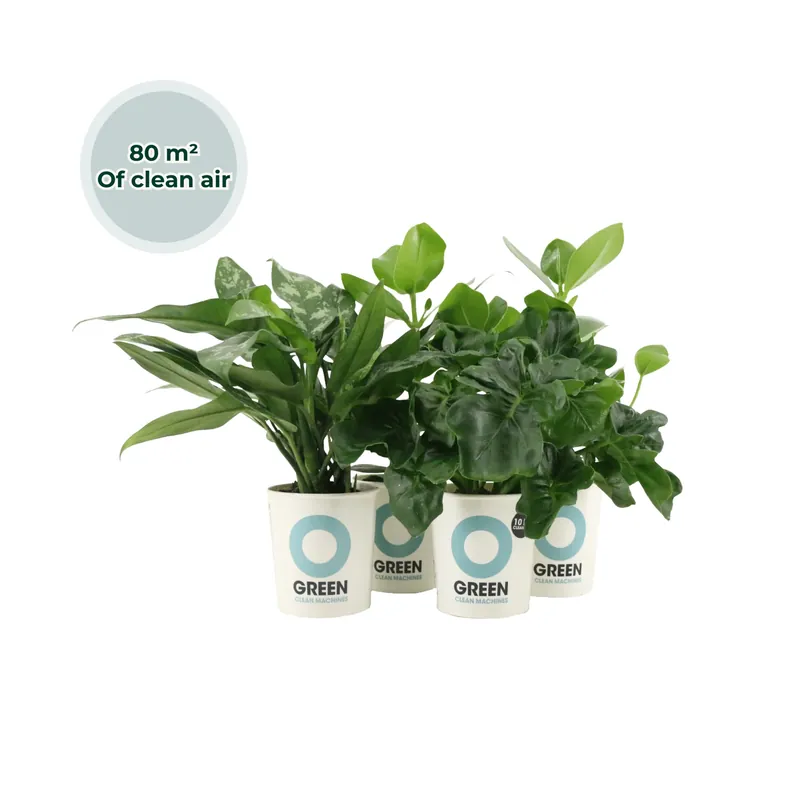 Topkwaliteit | Ogreen Easy Care