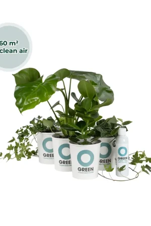 Actie | Ogreen Musthaves