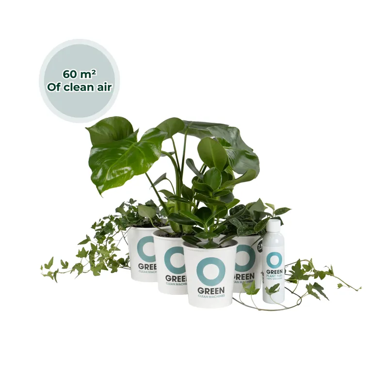Actie | Ogreen Musthaves