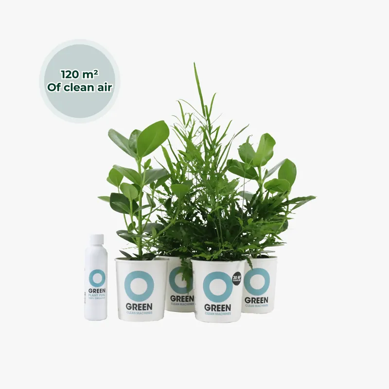 Ogreen Power Squad | Meest verkocht