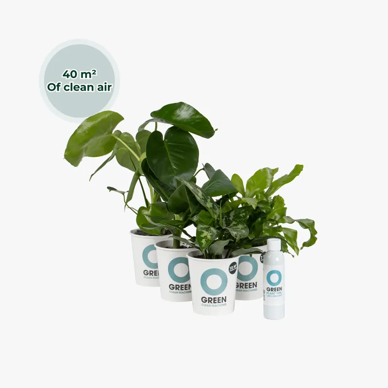 Bestel nu - Ogreen Indoor Jungle