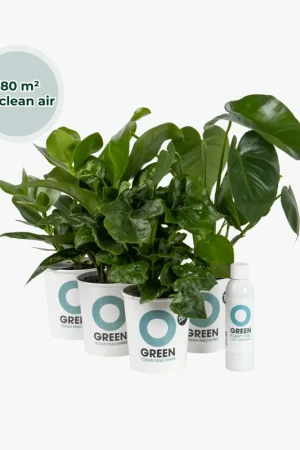 Zojuist toegevoegd | Ogreen Green Office