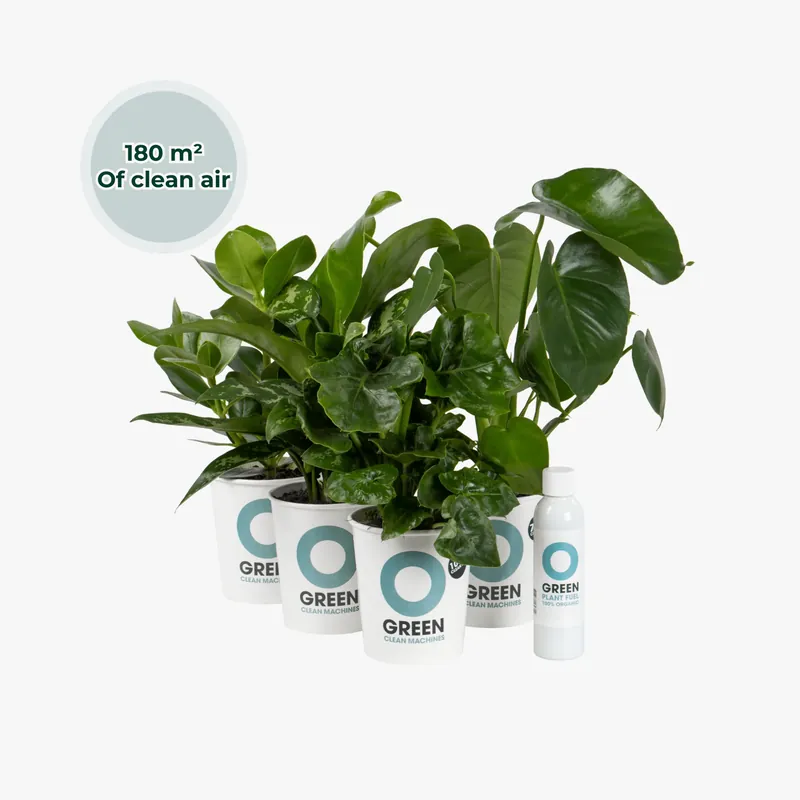 Zojuist toegevoegd | Ogreen Green Office