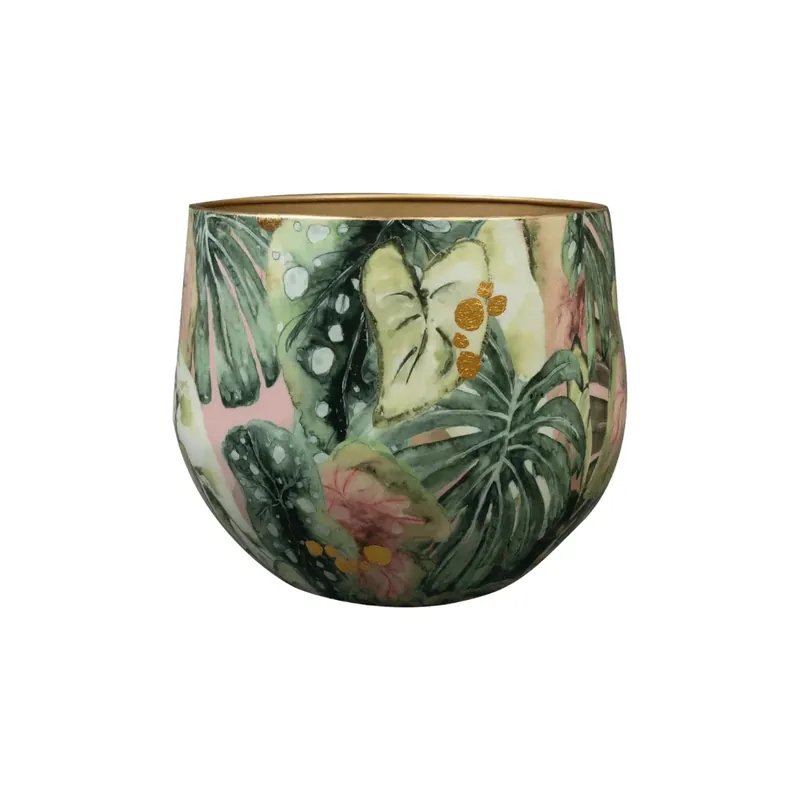 Pot Monstera Mystery - Direct leverbaar