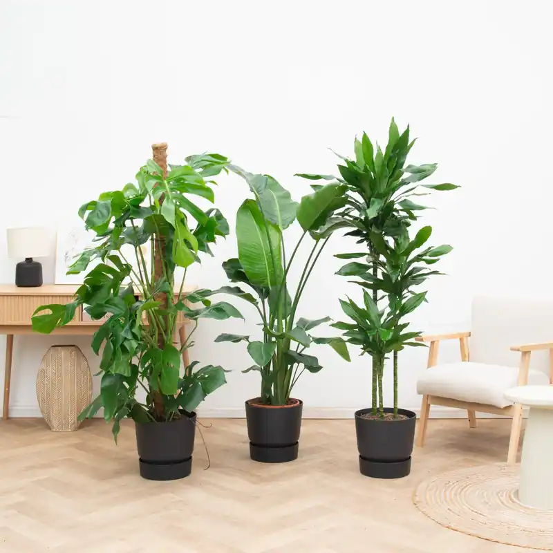 Kantoorpakket Green Power - Veel gevraagd