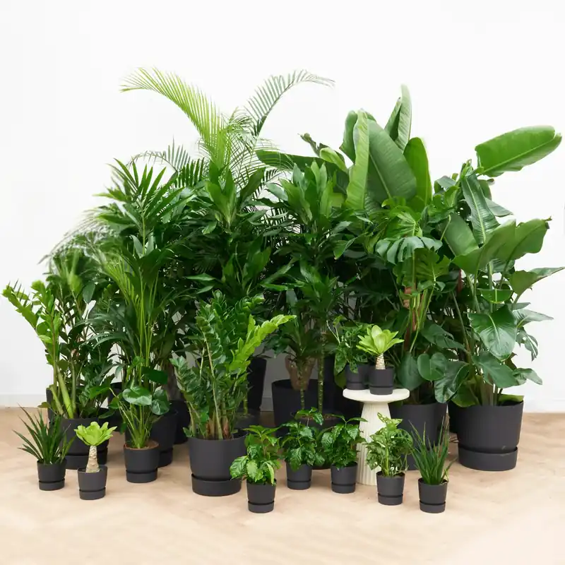 Kantoorpakket Urban luxe - Spoedlevering