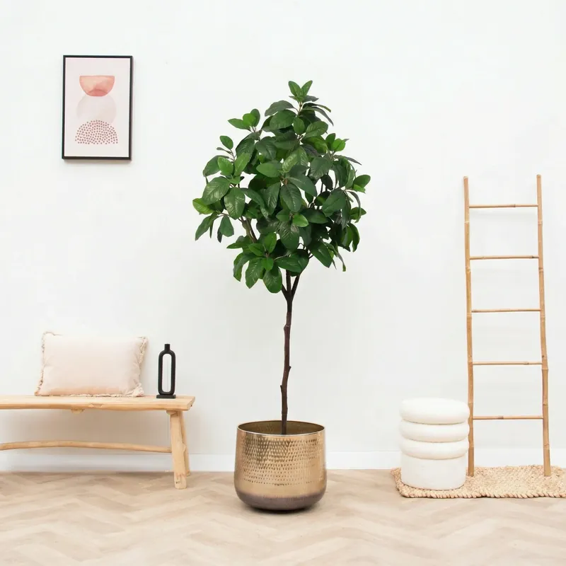 Kunst Magnolia - 190cm - Scherpe prijs