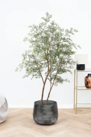 Zeer goed beoordeeld - Kunst Cassia boom - 180cm