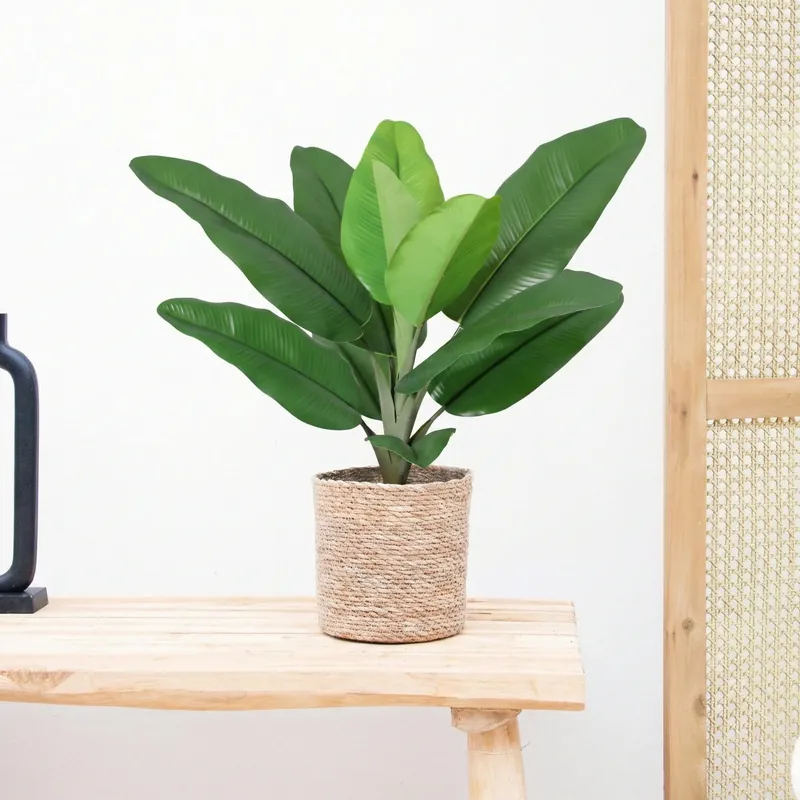 Kunst Philodendron Jungle King - 45cm | Aanbieding