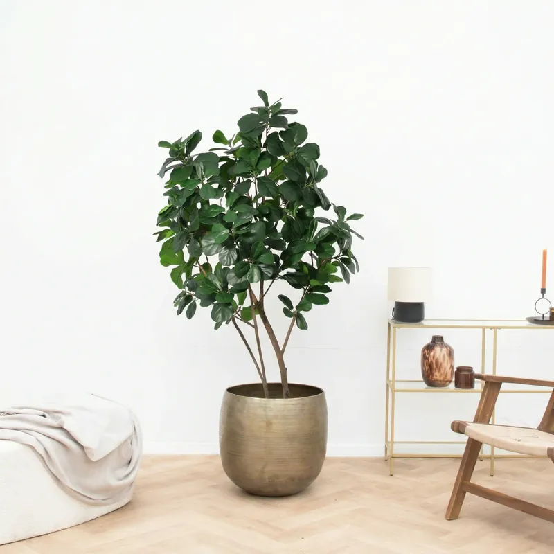 Kunst Ficus Lyrata boom - 180cm | Dagdeal