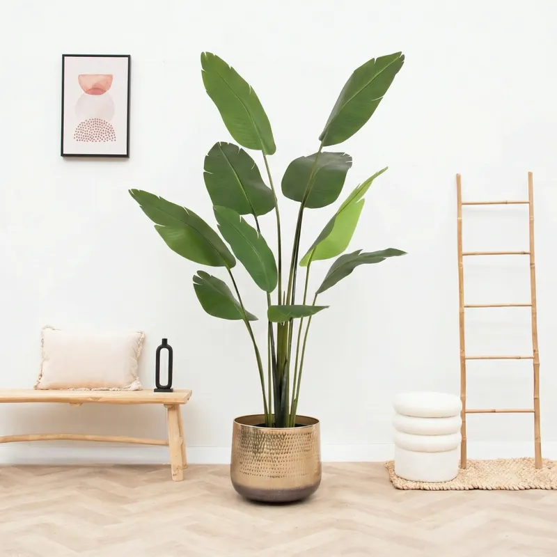 Kunst Strelitzia Nicolai - 180cm - Premium