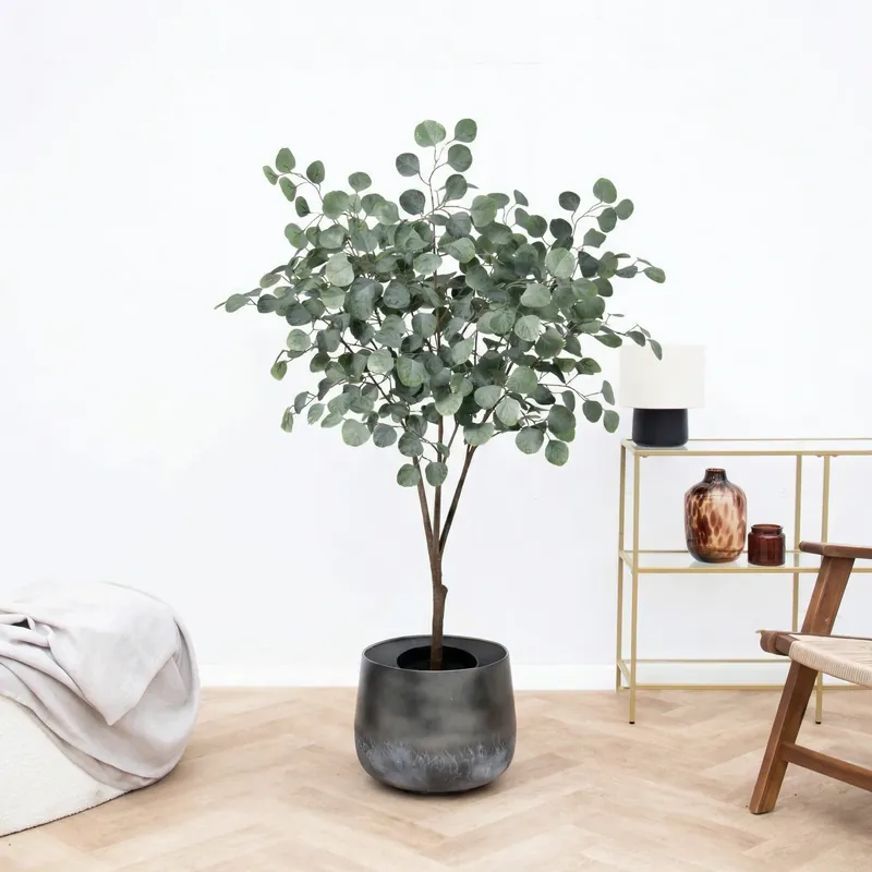 Prijsverlaging | Kunst Eucalyptus boom - 150cm