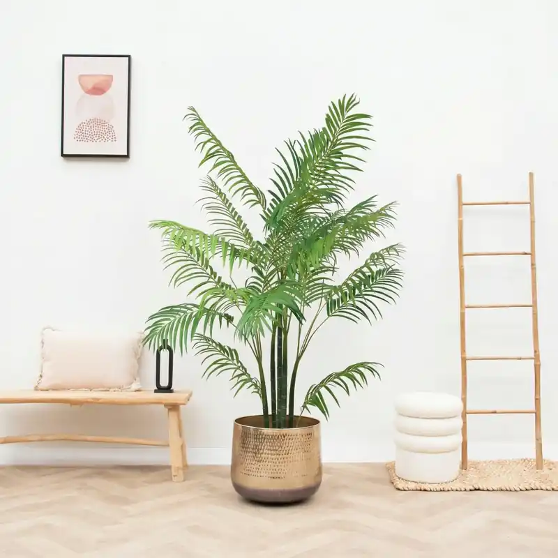 Opruiming | Kunst Areca - 190cm