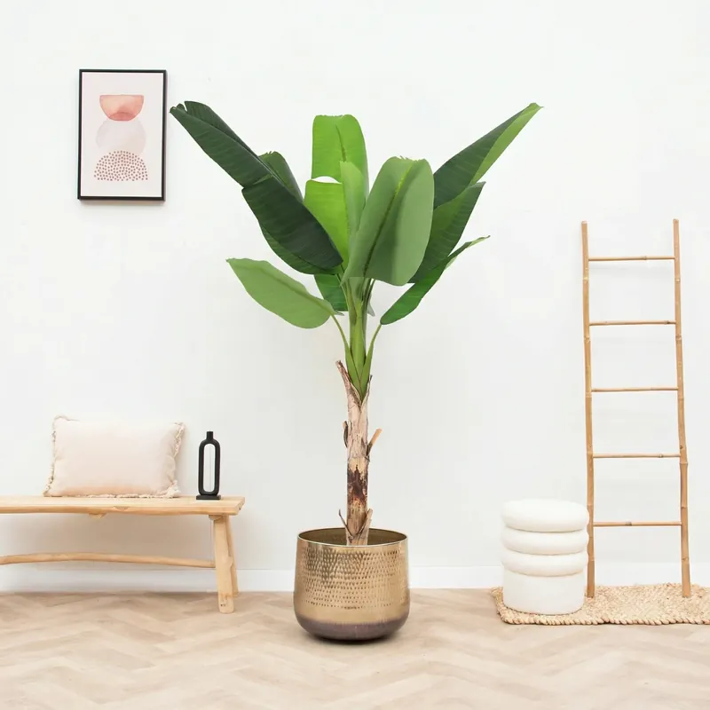 Kunst Bananenplant Musa - 190cm - Actieprijs