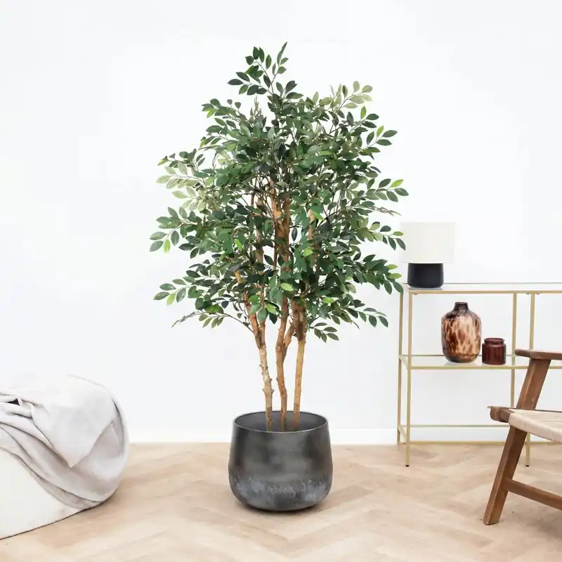 Kunst Ficus Exotica - 150cm | Populair bij klanten