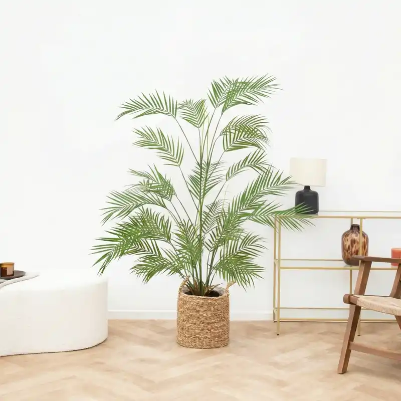 Kunst Areca - 120cm | Topdeal