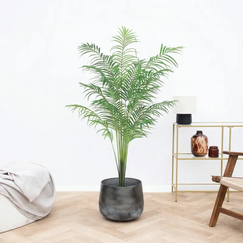 Kunst Kentia palm - 170cm | Uitverkoop