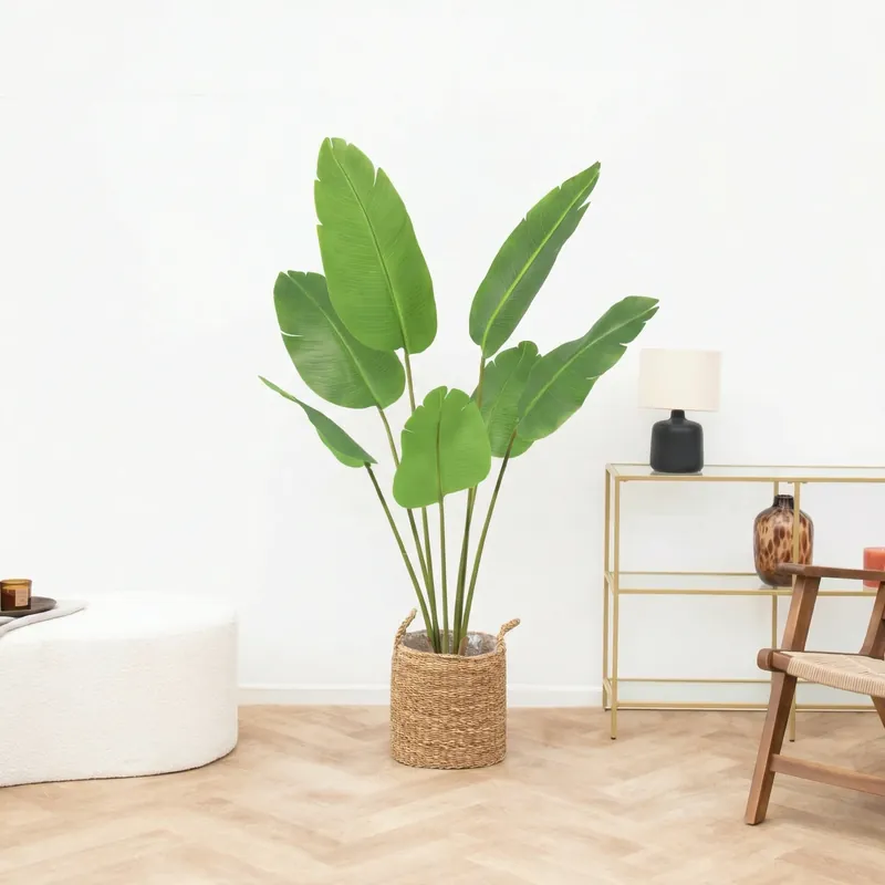 Voeg toe aan winkelwagen - Kunst Strelitzia Nicolai - 135cm