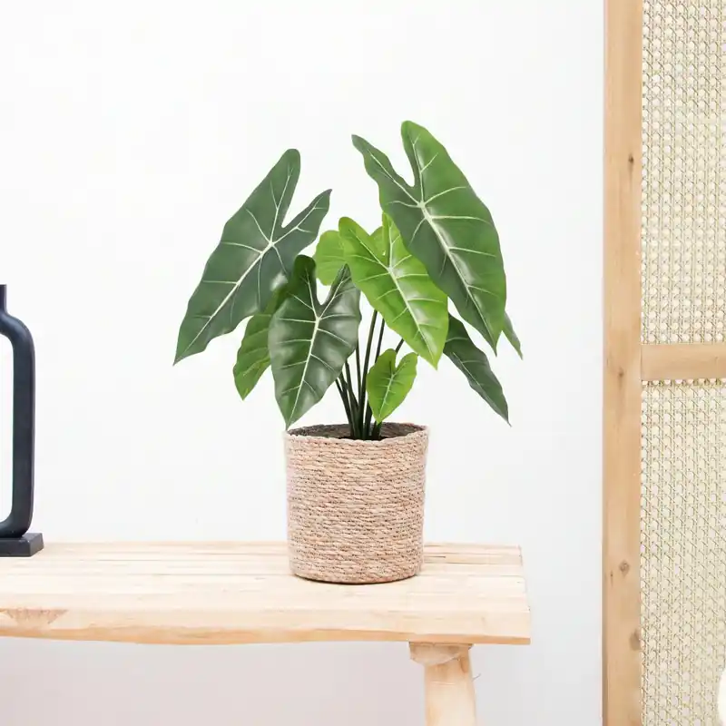 Kunst Alocasia Polly - 40cm - Vanaf nu beschikbaar